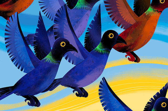 BOOK ILLUSTRATION